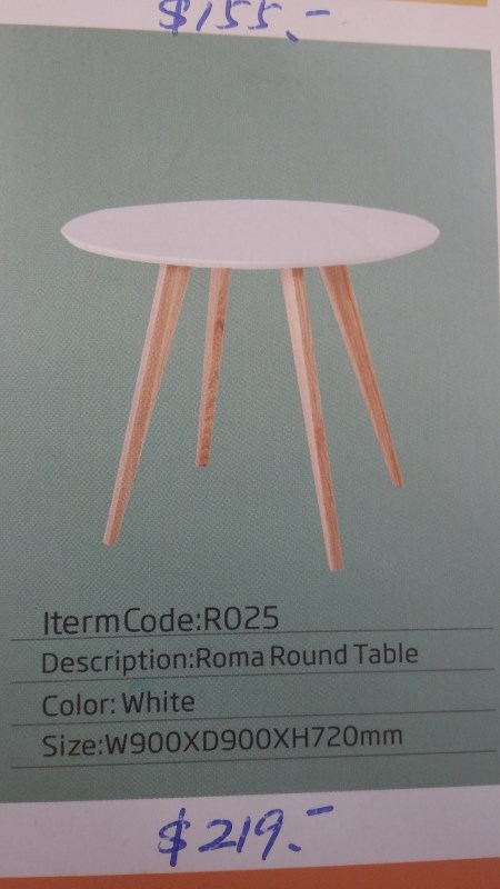 Roma round table